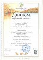 Всероссийский творческий конкурс поделок из природного материала "Осенняя сказка" Куликов Сергей 5 класс