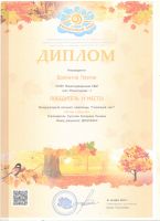 Международная интернет-олимпиада "Солнечный свет" Долматов Платон