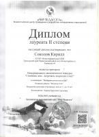 Международный экологический конкурс "Синичкин день - встречаем зимующих птиц!" Соколов Кирилл