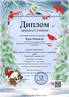 Всероссийский творческий конкурс "Здравствуй зимушка зима" 