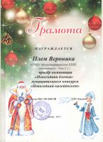 "Новогодний калейдоскоп"