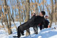 Военно-спортивная игра "Зарница"
