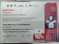 X Региональный чемпионат по профессиональному мастерству "Абилимпикс" в Приморском крае 2025